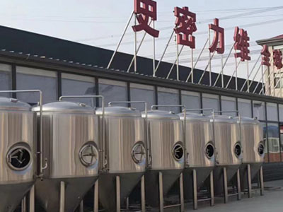 罗田精酿啤酒设备厂—如何判断精酿啤酒设备的密封件需要更换？